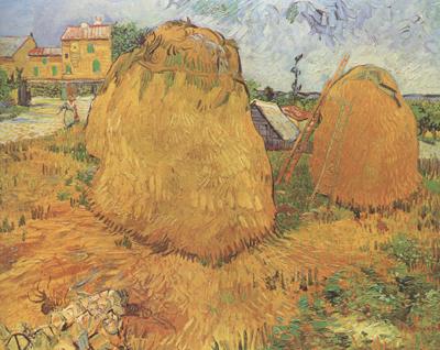 Vincent Van Gogh Haystacks in Provence (nn04) Sweden oil painting art